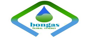 BongaSynergy