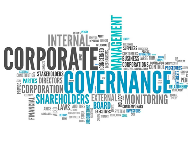 Bongas Synergy - Corporate Governance